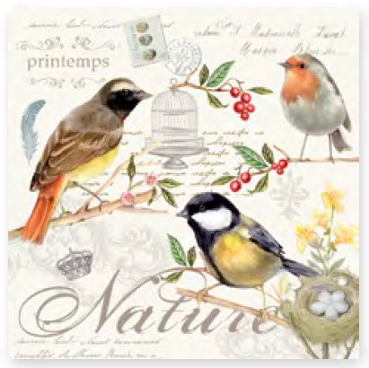 EASY LIFE LES OISEAUX paket od 20 salveta / 3 sloja / 33x33 cm