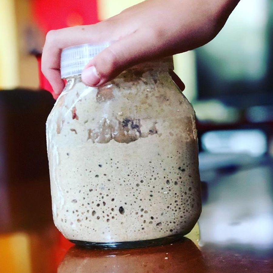 sourdough kruh starter