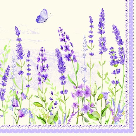 Easy Life Lavander Field salvete